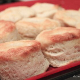 biscuits