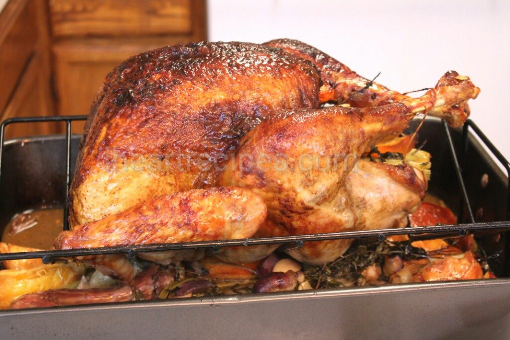 A whole roasted Thanksgiving turkey in a roaster pan.